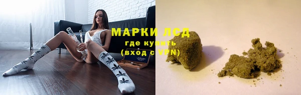 PSILOCYBIN Аркадак