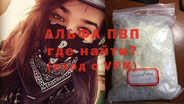 PSILOCYBIN Аркадак