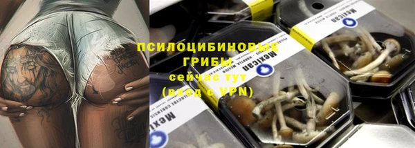 PSILOCYBIN Аркадак