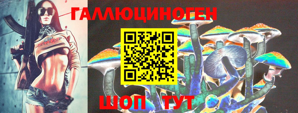 Балтийск  Галлюциногенные грибы Cubensis  Вход с VPN  Галлюциногенные грибы Psilocybine cubensis 